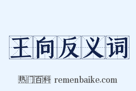 王向反义词是什么意思的图片